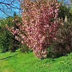 לינה וארוחת בוקר Moulin De Saza Le Vigeant