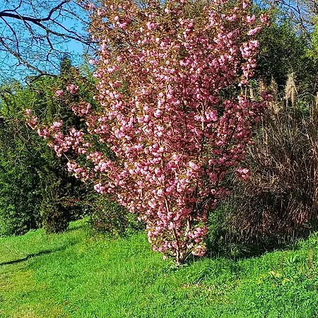 Bed and breakfast Moulin De Saza Le Vigeant