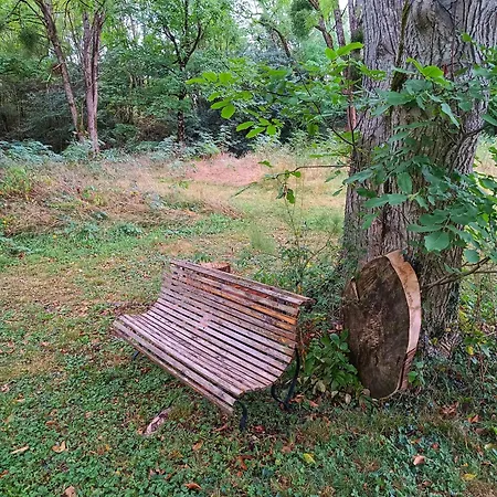 Moulin De Saza 3* Le Vigeant